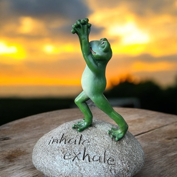 At Home Other - NWT At Home Yoga Frog On Rock Namaste - Inhale / Exhale